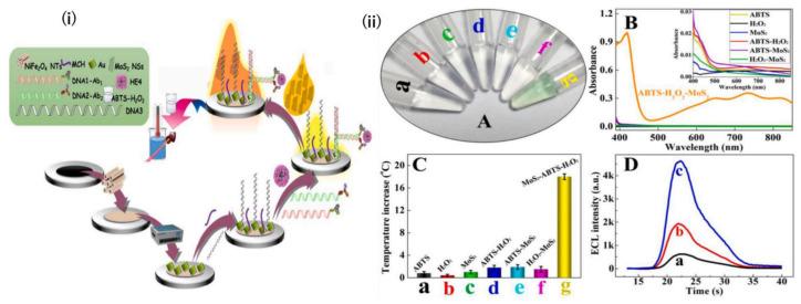 https://cdn.ncbi.nlm.nih.gov/pmc/blobs/6b61/12024575/456c9d1a9cd9/biosensors-15-00203-g006.jpg