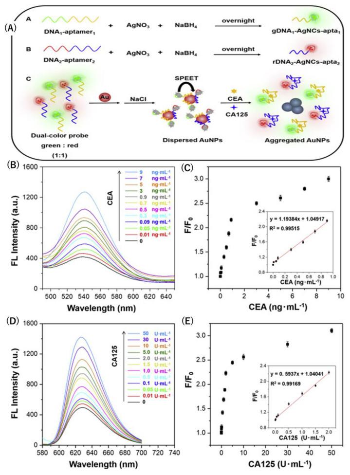 https://cdn.ncbi.nlm.nih.gov/pmc/blobs/6b61/12024575/6e719b9393b2/biosensors-15-00203-g005.jpg