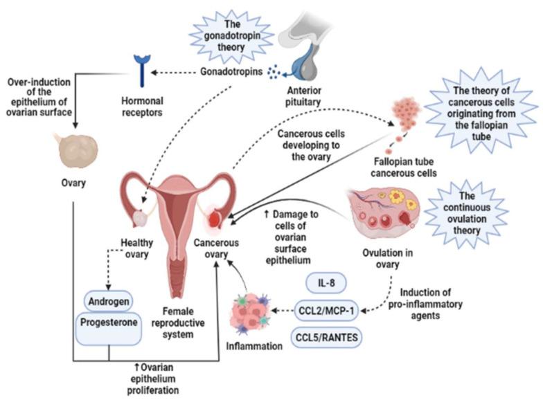https://cdn.ncbi.nlm.nih.gov/pmc/blobs/6b61/12024575/b56a7a57c90c/biosensors-15-00203-g001.jpg