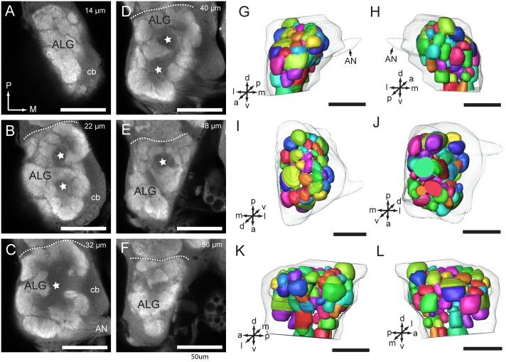 https://cdn.ncbi.nlm.nih.gov/pmc/blobs/6b62/4968828/6999c474a1f9/pone.0160161.g006.jpg