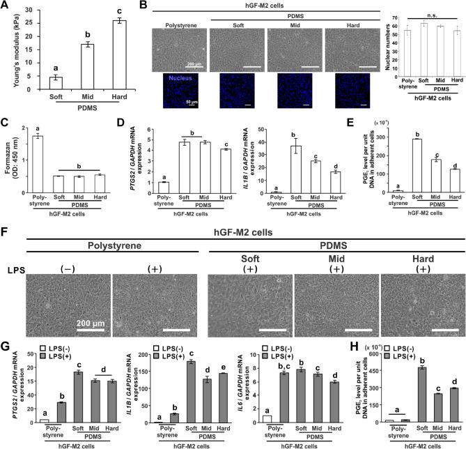 https://cdn.ncbi.nlm.nih.gov/pmc/blobs/6b62/9873657/88b2842d571c/41598_2023_28541_Fig1_HTML.jpg