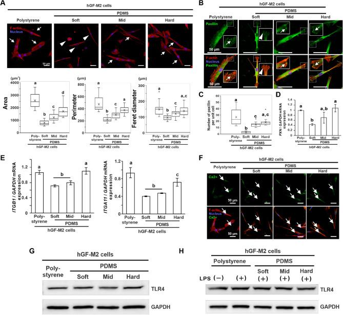 https://cdn.ncbi.nlm.nih.gov/pmc/blobs/6b62/9873657/8f08fab93ee1/41598_2023_28541_Fig6_HTML.jpg