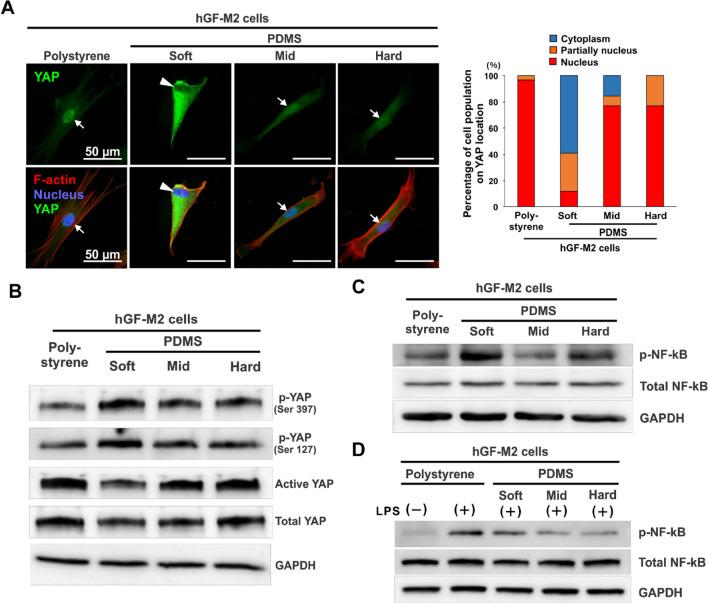 https://cdn.ncbi.nlm.nih.gov/pmc/blobs/6b62/9873657/f715d46710f1/41598_2023_28541_Fig4_HTML.jpg