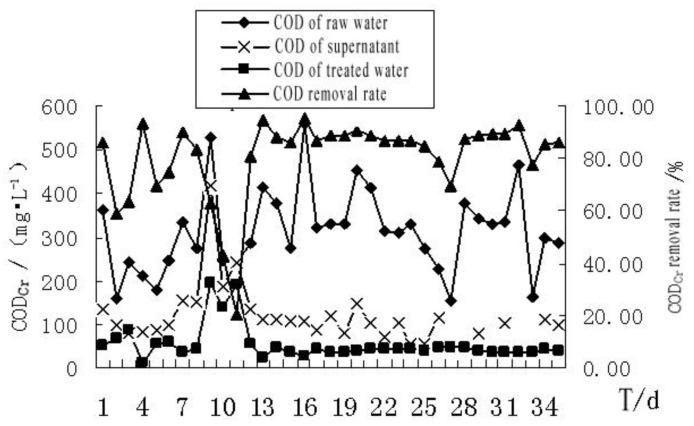 https://cdn.ncbi.nlm.nih.gov/pmc/blobs/6b64/7911280/7b47df12db68/membranes-11-00085-g006.jpg