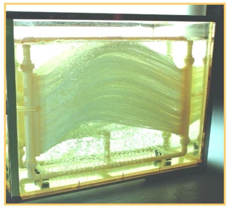 https://cdn.ncbi.nlm.nih.gov/pmc/blobs/6b64/7911280/fb02982c15f5/membranes-11-00085-g001.jpg