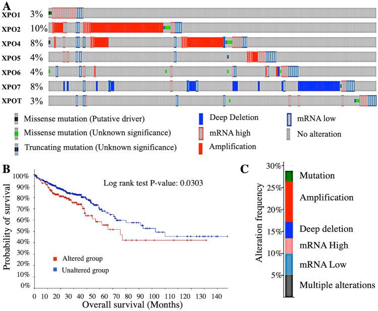 https://cdn.ncbi.nlm.nih.gov/pmc/blobs/6b65/11711428/ba3147c943ad/12672_2025_1748_Fig4_HTML.jpg