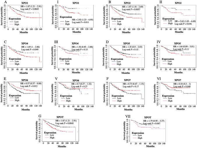 https://cdn.ncbi.nlm.nih.gov/pmc/blobs/6b65/11711428/fa2febd81c14/12672_2025_1748_Fig3_HTML.jpg