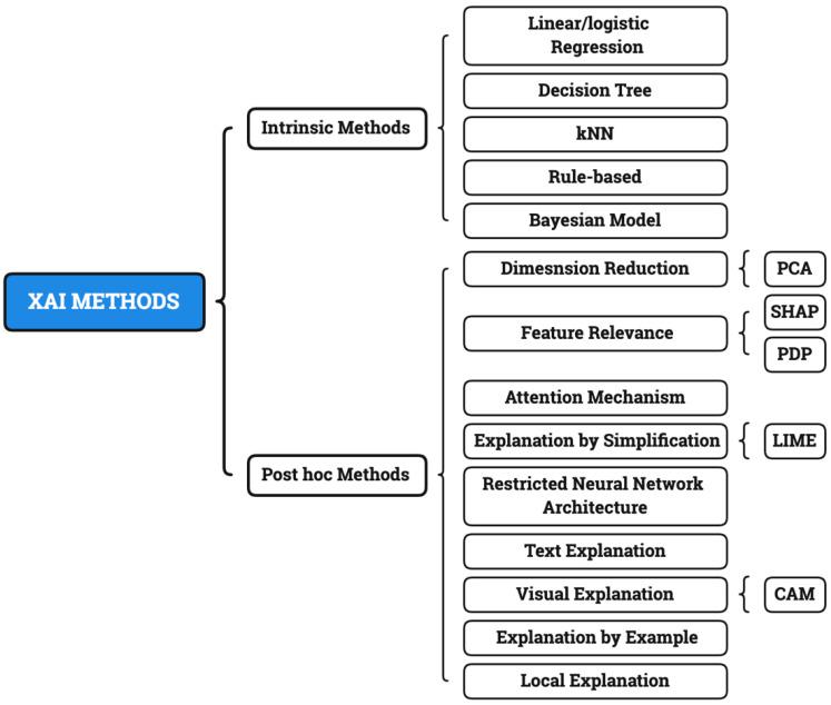 https://cdn.ncbi.nlm.nih.gov/pmc/blobs/6b66/8870992/ae3fcb341ee4/diagnostics-12-00237-g002.jpg