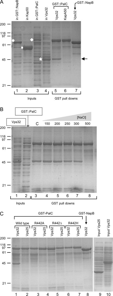 https://cdn.ncbi.nlm.nih.gov/pmc/blobs/6b6b/2171039/0cb93f5fb023/tra0008-1346-f5.jpg