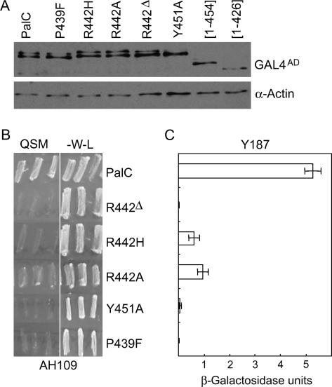 https://cdn.ncbi.nlm.nih.gov/pmc/blobs/6b6b/2171039/1ad5a92531b7/tra0008-1346-f4.jpg