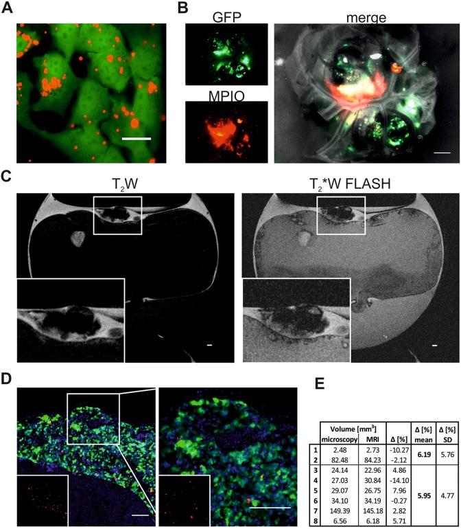 https://cdn.ncbi.nlm.nih.gov/pmc/blobs/6b6b/6236852/05a04c6306e2/10.1177_1536012118809585-fig2.jpg