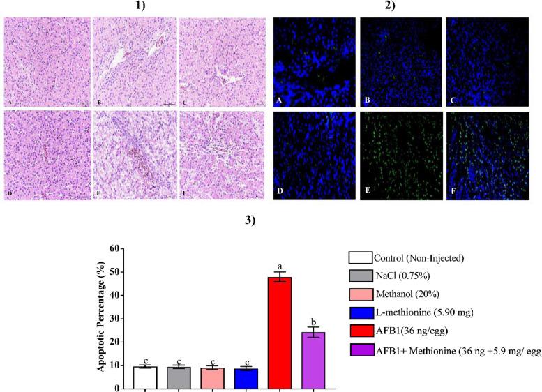 https://cdn.ncbi.nlm.nih.gov/pmc/blobs/6b6e/8261005/7437821476ad/gr6.jpg