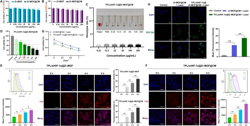 https://cdn.ncbi.nlm.nih.gov/pmc/blobs/6b73/12398845/a041218ed837/gr3.jpg