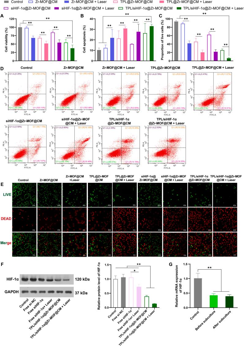 https://cdn.ncbi.nlm.nih.gov/pmc/blobs/6b73/12398845/b252b841c50d/gr4.jpg