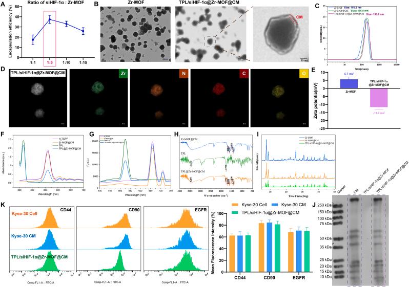 https://cdn.ncbi.nlm.nih.gov/pmc/blobs/6b73/12398845/c9b8fe692330/gr1.jpg