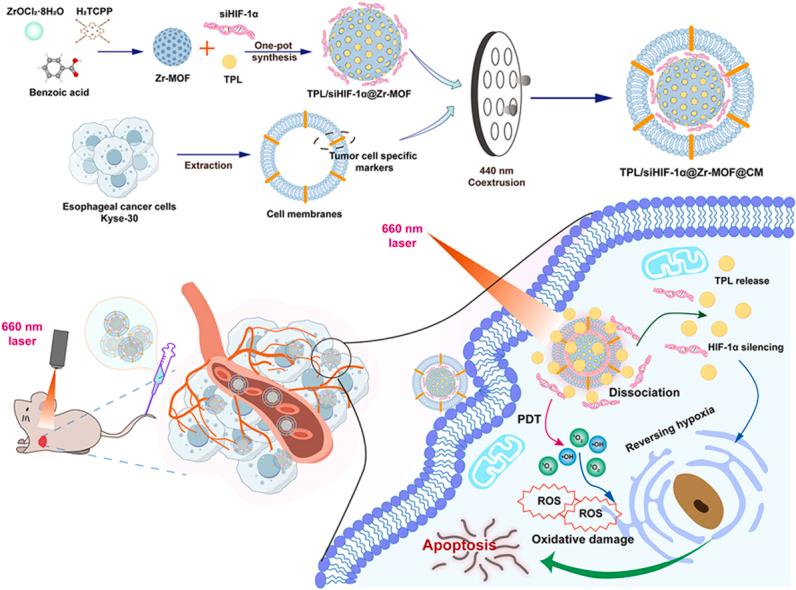 https://cdn.ncbi.nlm.nih.gov/pmc/blobs/6b73/12398845/fef8be8fcad5/ga1.jpg