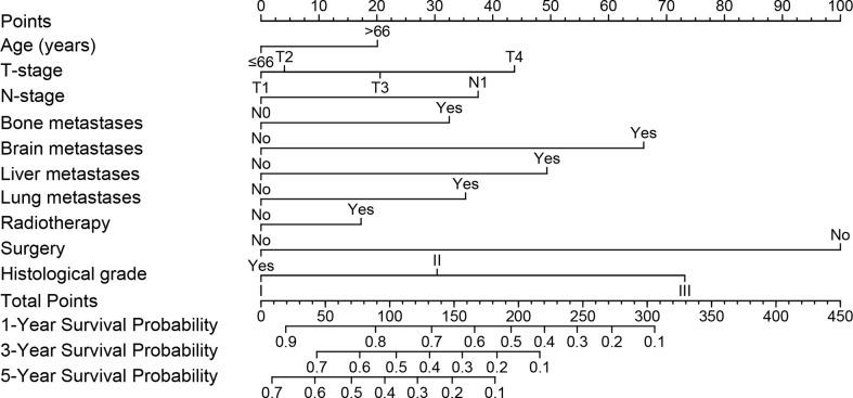 https://cdn.ncbi.nlm.nih.gov/pmc/blobs/6b74/9552762/4eec98e61f7e/fonc-12-949058-g003.jpg