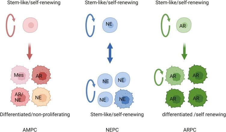 https://cdn.ncbi.nlm.nih.gov/pmc/blobs/6b75/11177157/f8a08a79fc79/sxae025_fig7.jpg