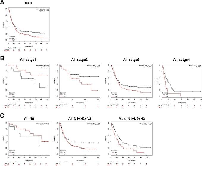 https://cdn.ncbi.nlm.nih.gov/pmc/blobs/6b75/5226556/d1267d026e25/oncotarget-07-49902-g001.jpg