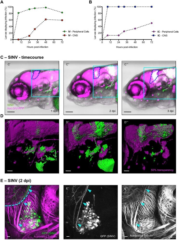 https://cdn.ncbi.nlm.nih.gov/pmc/blobs/6b77/5536907/2d5bc0563797/dmm-10-029231-g2.jpg