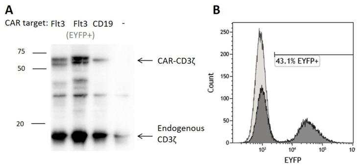 https://cdn.ncbi.nlm.nih.gov/pmc/blobs/6b78/8621097/0d98b2088d4f/vaccines-09-01238-g004.jpg
