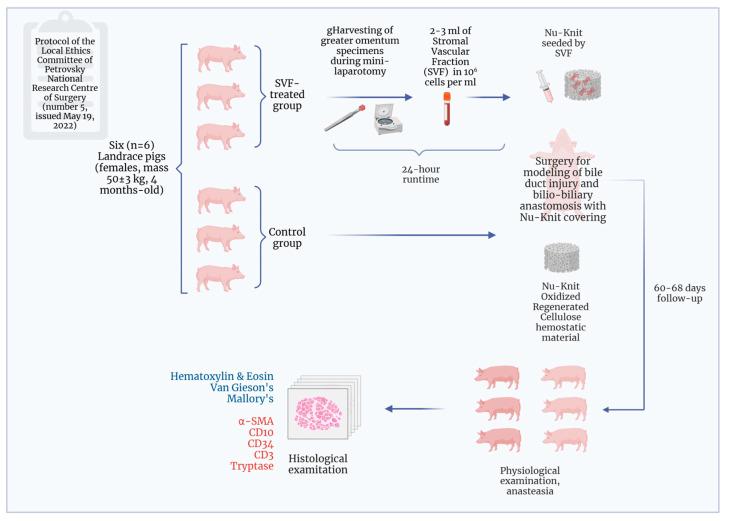 https://cdn.ncbi.nlm.nih.gov/pmc/blobs/6b79/11720677/07a74fd22e55/ijms-26-00222-g007.jpg