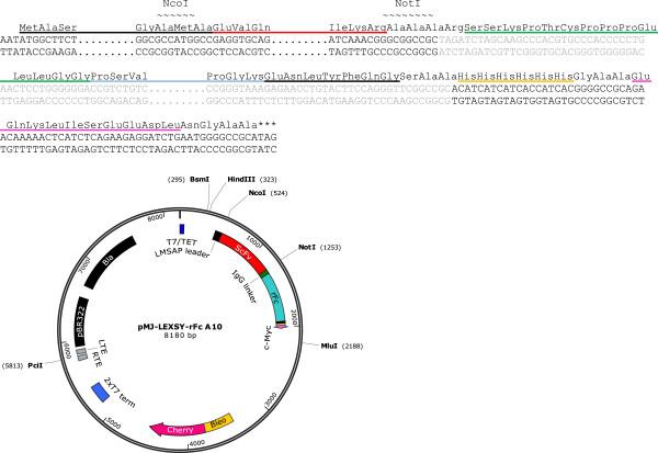 https://cdn.ncbi.nlm.nih.gov/pmc/blobs/6b79/3917567/beb06e3aab24/1475-2859-13-9-1.jpg