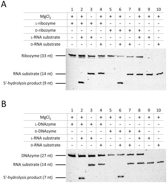 https://cdn.ncbi.nlm.nih.gov/pmc/blobs/6b79/4334536/3be4835af4f3/pone.0115328.g003.jpg