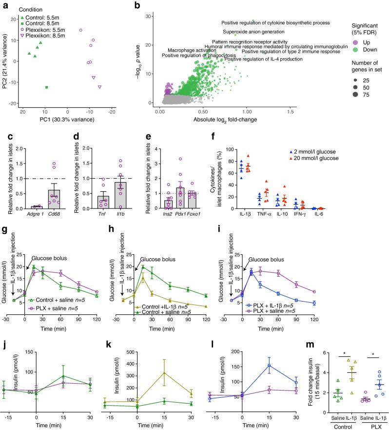 https://cdn.ncbi.nlm.nih.gov/pmc/blobs/6b7a/10627931/22dea46cbd5d/125_2023_6007_Fig7_HTML.jpg