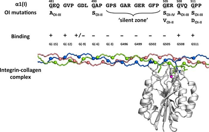 https://cdn.ncbi.nlm.nih.gov/pmc/blobs/6b7a/5009287/03a7152fe730/zbc0391651400008.jpg