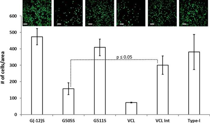 https://cdn.ncbi.nlm.nih.gov/pmc/blobs/6b7a/5009287/a58b34832c3d/zbc0391651400005.jpg