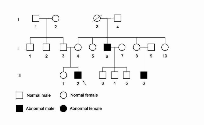 https://cdn.ncbi.nlm.nih.gov/pmc/blobs/6b7c/11270777/a08cfcc43d5d/12903_2024_4613_Fig5_HTML.jpg