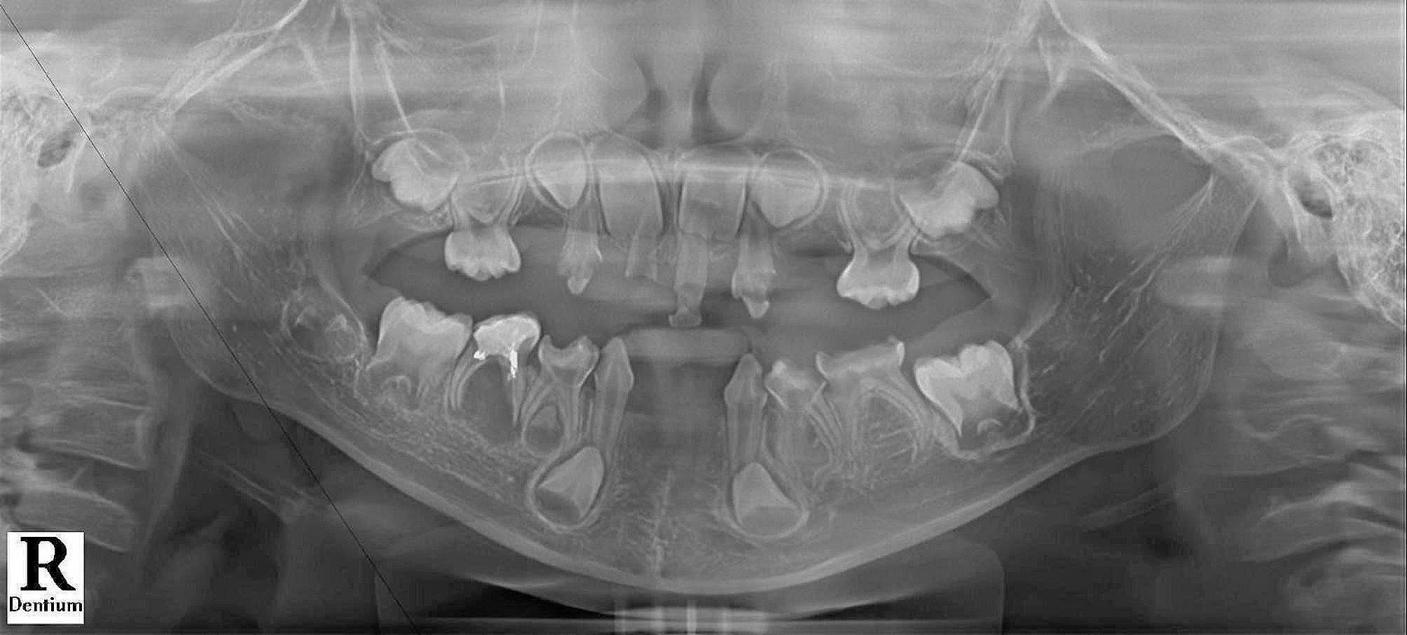 https://cdn.ncbi.nlm.nih.gov/pmc/blobs/6b7c/11270777/c7ed668ed2fc/12903_2024_4613_Fig1_HTML.jpg