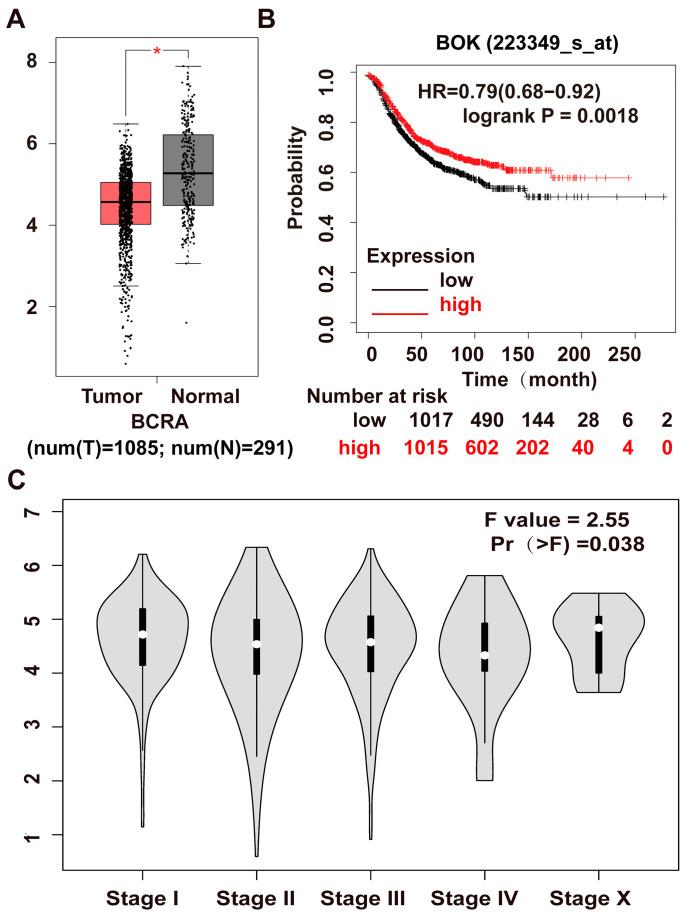 https://cdn.ncbi.nlm.nih.gov/pmc/blobs/6b7c/12347190/1bd4a3ae09fd/ijms-26-07252-g001.jpg