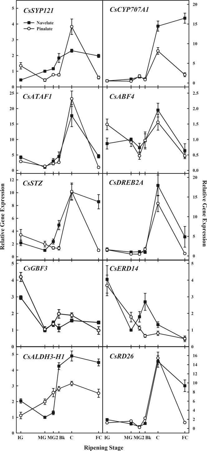 https://cdn.ncbi.nlm.nih.gov/pmc/blobs/6b7c/6614452/18ede5e32594/41598_2019_46365_Fig2_HTML.jpg