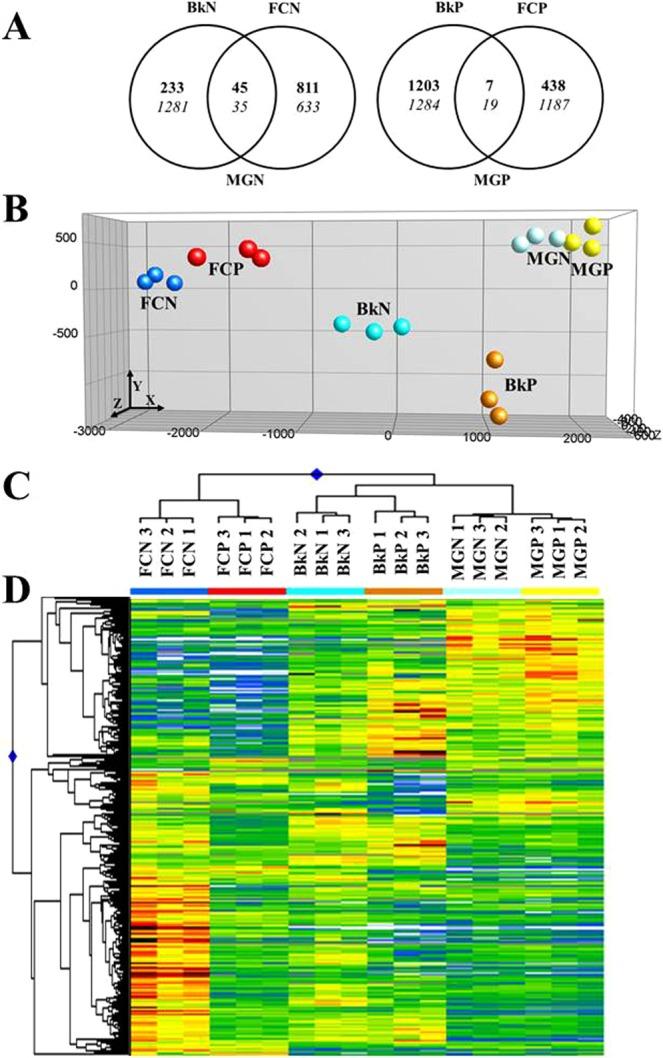 https://cdn.ncbi.nlm.nih.gov/pmc/blobs/6b7c/6614452/ac84a4e9aa8b/41598_2019_46365_Fig1_HTML.jpg