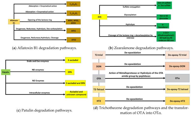 https://cdn.ncbi.nlm.nih.gov/pmc/blobs/6b7c/9694041/28612aef81a2/toxins-14-00729-g003.jpg