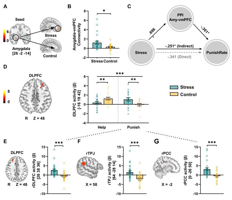 https://cdn.ncbi.nlm.nih.gov/pmc/blobs/6b7d/11098560/2142aa1f4c09/pbio.3002195.g003.jpg