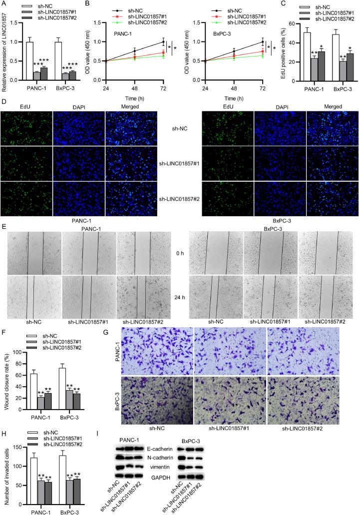https://cdn.ncbi.nlm.nih.gov/pmc/blobs/6b80/9168480/1ef754f41bc2/gr2.jpg