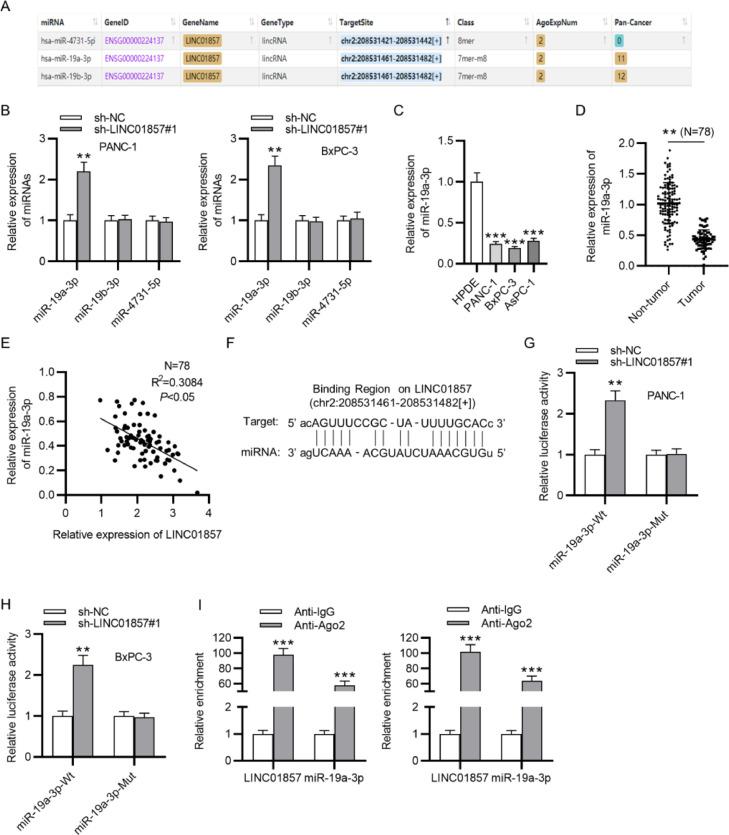 https://cdn.ncbi.nlm.nih.gov/pmc/blobs/6b80/9168480/62832693ebe5/gr3.jpg