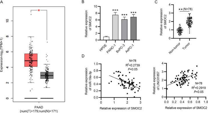 https://cdn.ncbi.nlm.nih.gov/pmc/blobs/6b80/9168480/7206056ea011/gr5.jpg