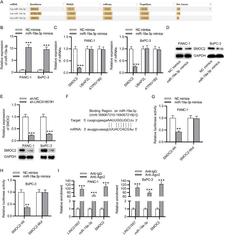 https://cdn.ncbi.nlm.nih.gov/pmc/blobs/6b80/9168480/b50932575f76/gr4.jpg