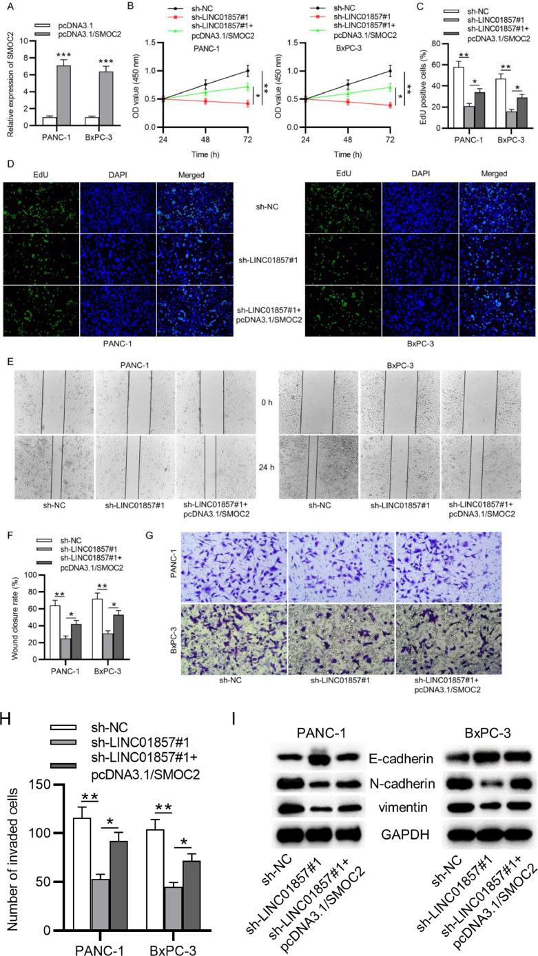 https://cdn.ncbi.nlm.nih.gov/pmc/blobs/6b80/9168480/bdfdd7a9f53b/gr6.jpg