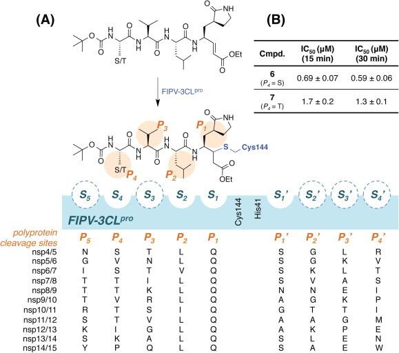 https://cdn.ncbi.nlm.nih.gov/pmc/blobs/6b83/7125580/48ca5a296e23/gr1.jpg