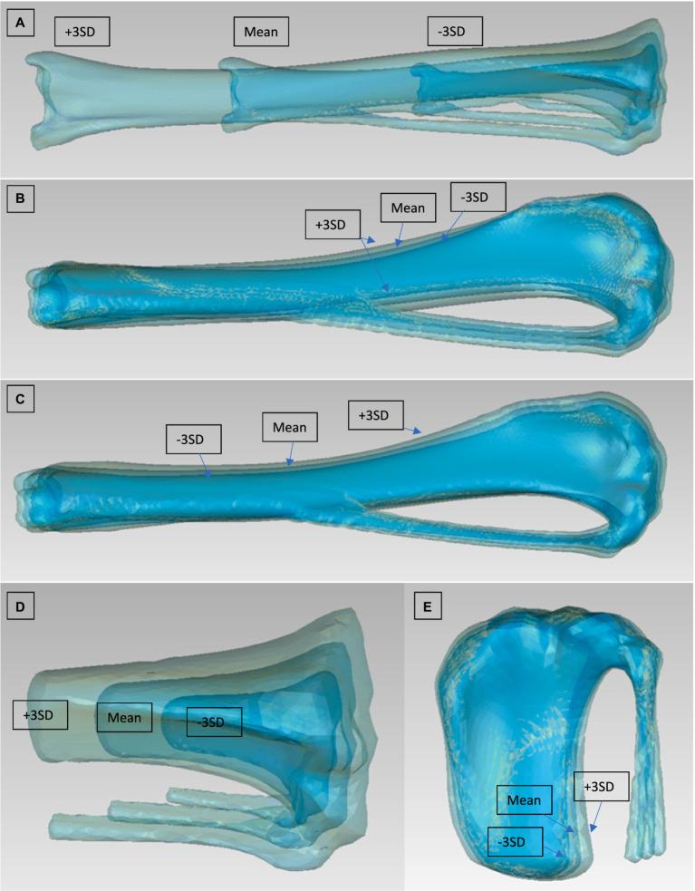 https://cdn.ncbi.nlm.nih.gov/pmc/blobs/6b84/11266300/7690022b6233/fvets-11-1366827-g005.jpg