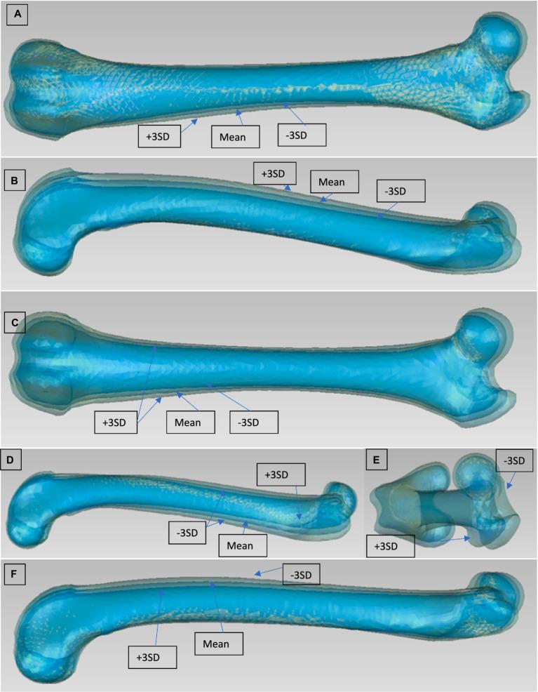 https://cdn.ncbi.nlm.nih.gov/pmc/blobs/6b84/11266300/a8770c79fffe/fvets-11-1366827-g002.jpg