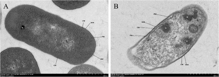 https://cdn.ncbi.nlm.nih.gov/pmc/blobs/6b85/7395354/6de1ec5a7c9b/12866_2020_1925_Fig7_HTML.jpg
