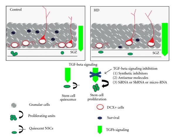 https://cdn.ncbi.nlm.nih.gov/pmc/blobs/6b89/3134994/fd3f13ad6997/NRI2011-124256.002.jpg