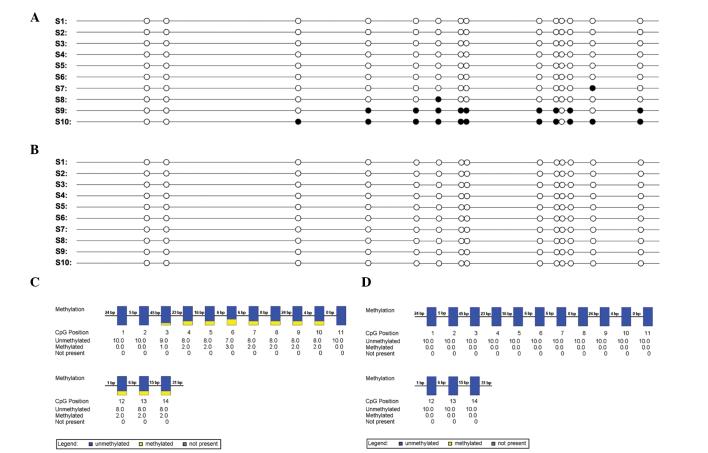 https://cdn.ncbi.nlm.nih.gov/pmc/blobs/6b89/4356378/f9f8e5d2b3ff/OL-09-04-1807-g02.jpg
