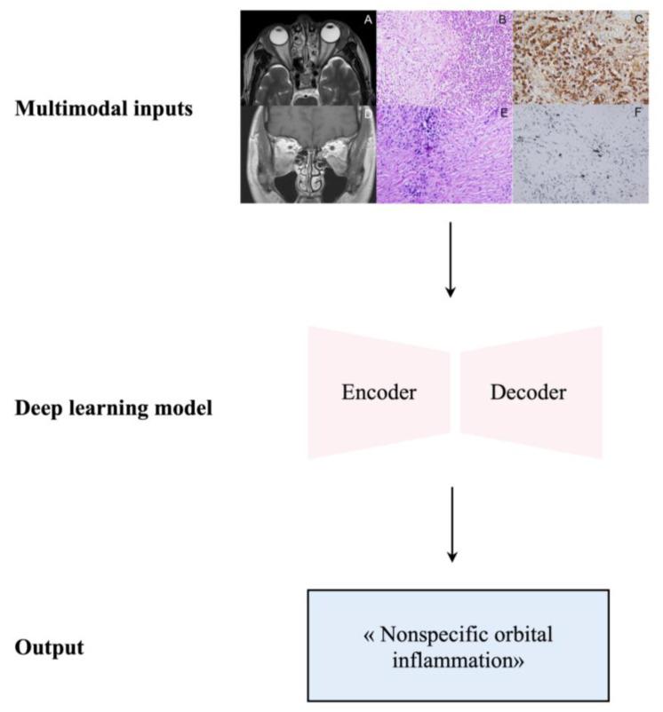 https://cdn.ncbi.nlm.nih.gov/pmc/blobs/6b8a/10855920/f108875881d6/ijms-25-01553-g006.jpg